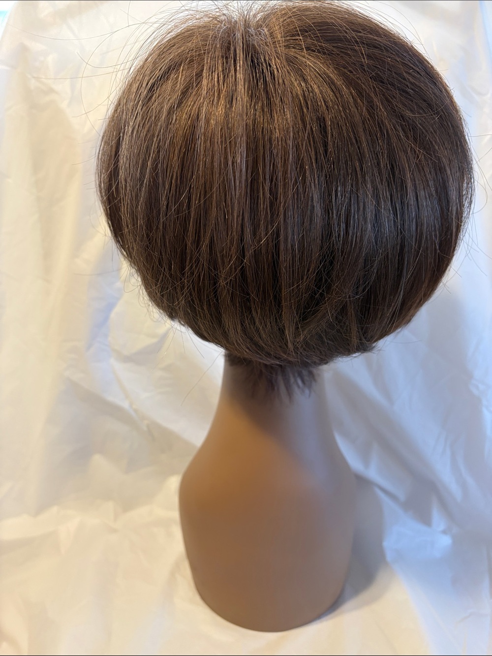 Raquel Welch Born to Shine Wig NWOT - Picture 3 of 13